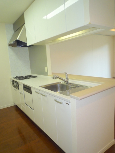 ガス3口システムキッチン、グリル付