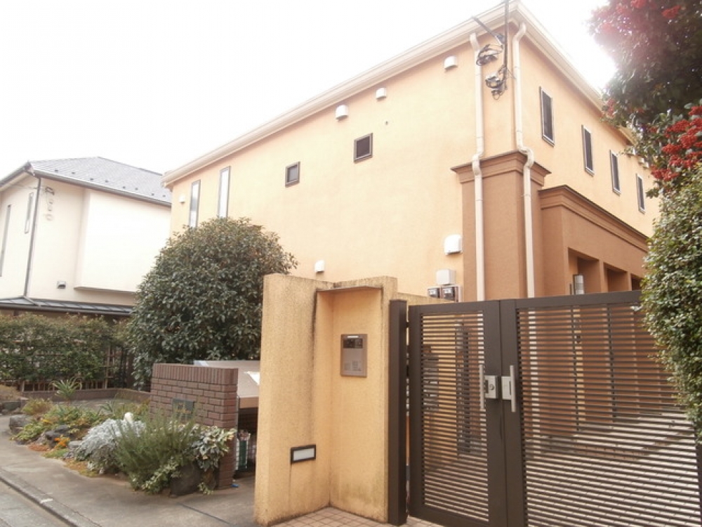 マグノリアステラータマキシマ_外観