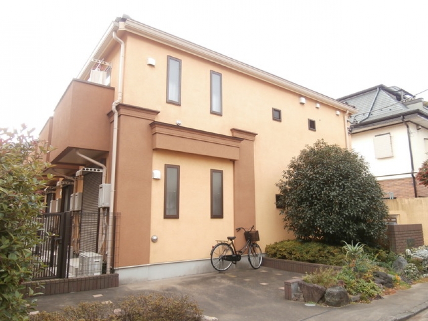 マグノリアステラータマキシマ_外観