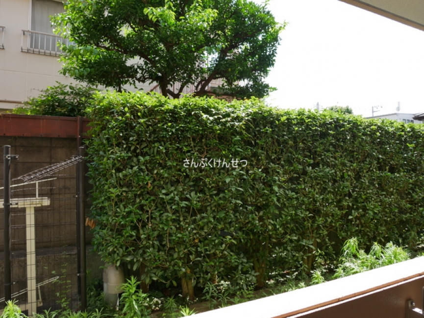 セレーネ自由が丘_眺望