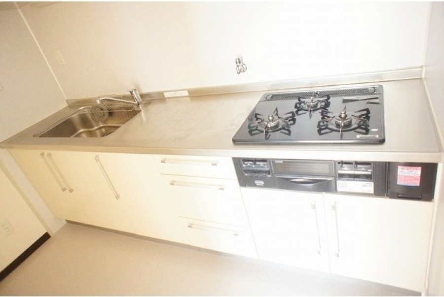 ロサーナ奥沢_ガス3口システムキッチン 3.8帖