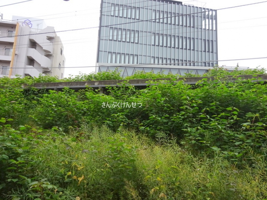 エスパス自由が丘_眺望