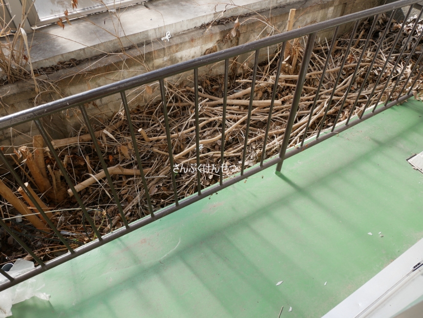 田園調布ハイム_バルコニー（洗濯機置場）