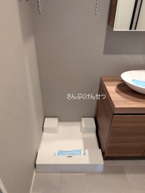 レジディア自由が丘_室内洗濯機置場