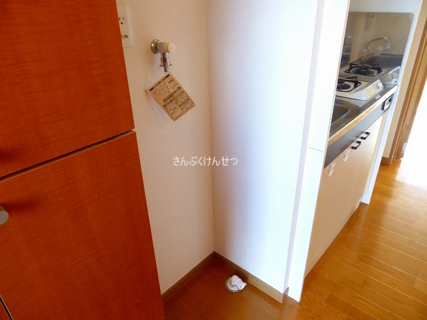 ドリームハウス_室内洗濯機置場