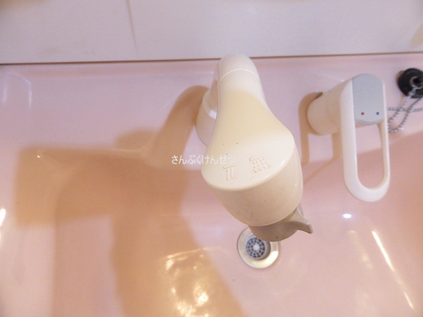 ドリームハウス_シャンプードレッサー