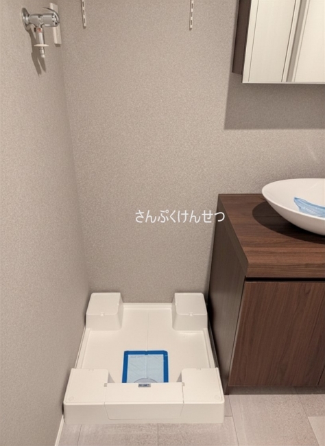 レジディア自由が丘_室内洗濯機置場