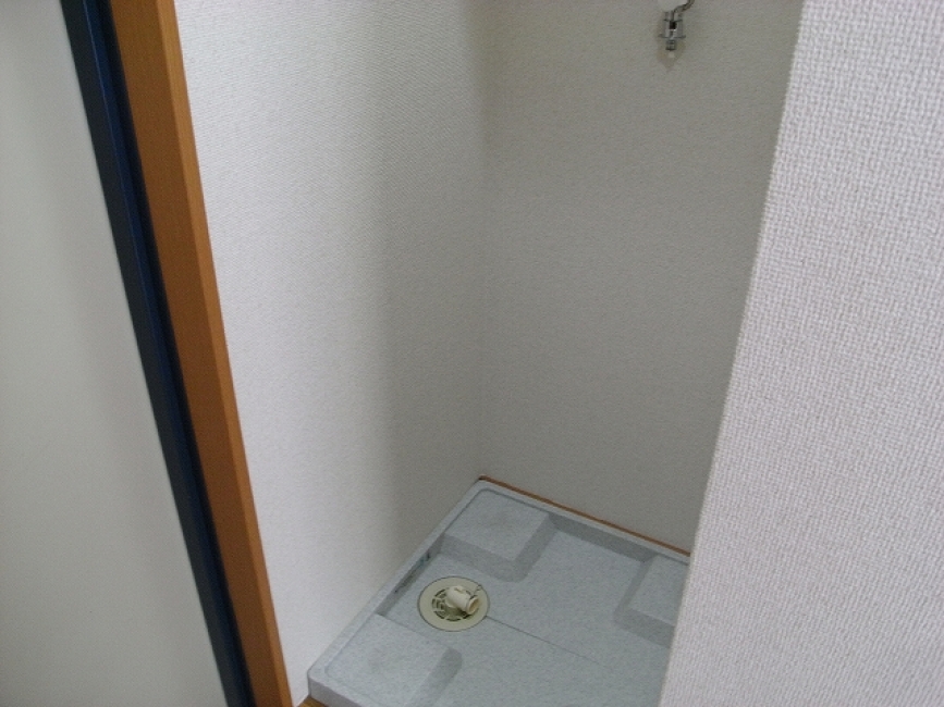 キャスル自由が丘_室内洗濯機置場