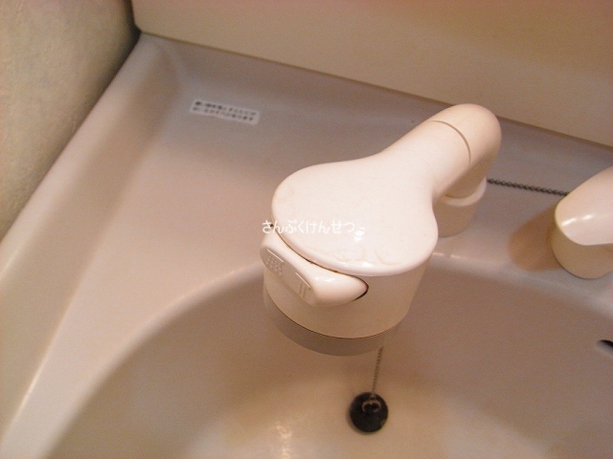 シャンプードレッサー